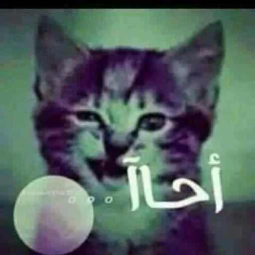 Телеграм стикер 🚓 @s_fge ____________________تحشيش