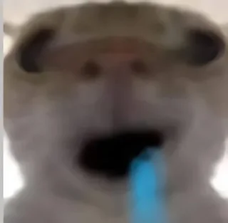 Телеграм стикер 😖 @s_fge ____________________تحشيش