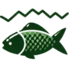 Video sticker 🐟 @trekking_abh По...