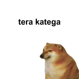 Video sticker 🌟 • 𝗛𝐄𝗥𝐎𝗫 "s ᴀɴɪᴍᴀᴛᴇᴅ ᴋᴀɴɢ ᴘᴀᴄᴋ