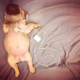 Telegram sticker 🎶 stc by @maksik4