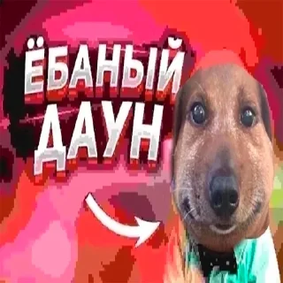 Telegram sticker 🥸 stc by @maksik4