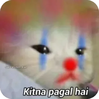 Video sticker 🫥 Haldi Pack