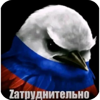 Sticker 🖼 птицы @xylylr