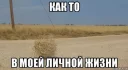 Video sticker ☹ Перекати-поле..