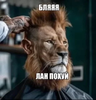 Telegram stiker 🌟 Аутизм @Femoji