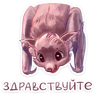 Video sticker 👋 Рубин  @TgSticker x @stickers_vk
