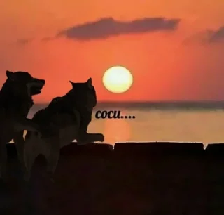 Telegram stiker 💋 э.