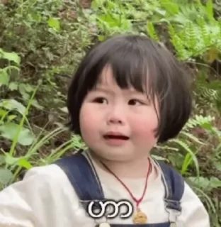 Video sticker 🌟 𝖪𝗁𝗈𝖾𝖾𝖾 @korillhealu