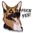 Telegram sticker 🌬 NorthShepherd