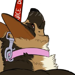 Video sticker 🐕‍🦺 NorthShepherd