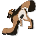 Telegram sticker 🎯 NorthShepherd