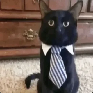 Sticker 😄 Здарова / @sutqi & @emojipipka