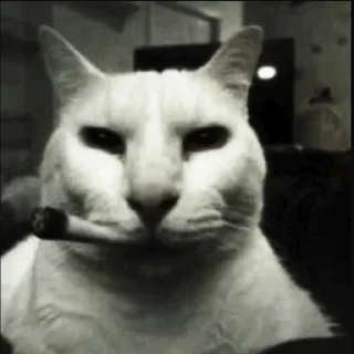 Video sticker 🚬 Здарова / @sutqi & @emojipipka