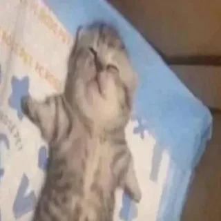 Video sticker 😈 Здарова / @sutqi & @emojipipka