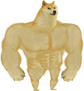 Sticker 💪 Amerika