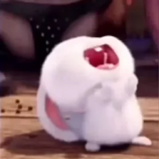Telegram sticker 😂 Snowball 😍 @MochaStickers
