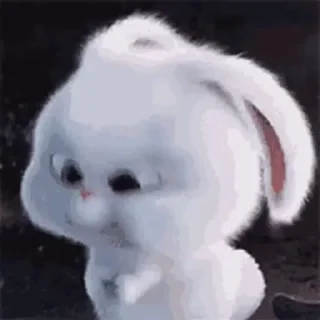 Telegram sticker 😠 Snowball 😍 @MochaStickers