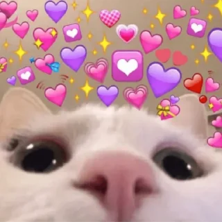 Sticker 💗 MICHIS by @TSthemes