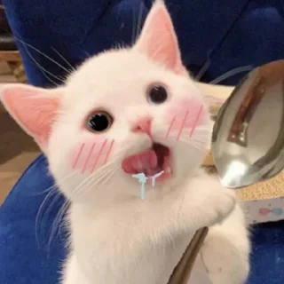 Телеграм стикер 🥄 MICHIS by @TSthemes