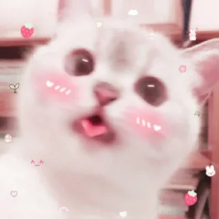 Video sticker 💋 MICHIS by @TSthemes