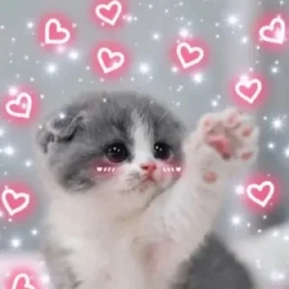 Телеграм стикер 💗 MICHIS by @TSthemes