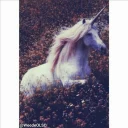 Telegram sticker 🦄 Negative pack_ Design by Meti_ Packed by Erfan