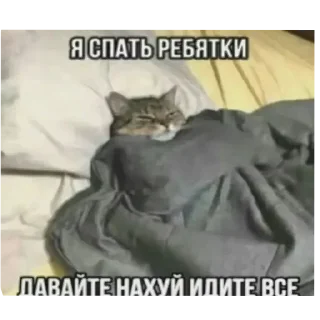 Telegram sticker 👍 понятк