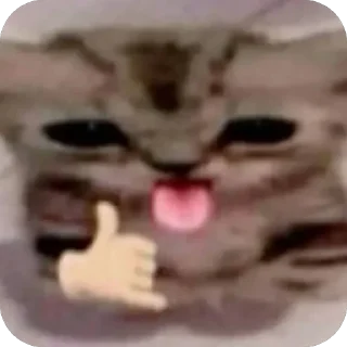 Video sticker 🫥 NO MORE