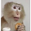 Video sticker 😟 Мусини бо�...
