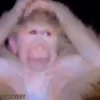 Video sticker 😥 Мусини бо�...