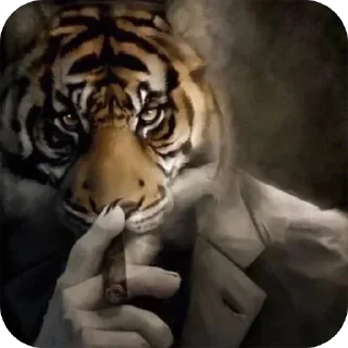 Telegram sticker 🚬 @sticksbb <— больше стиков💓💘💞