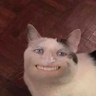 Телеграм стикер 😬 Random