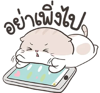 Video sticker ⭐ Auongrom maewnoi sanson @moe_sticker_bot