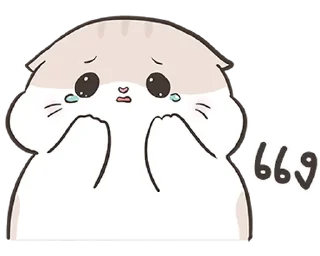 Video sticker ⭐ Auongrom maewnoi sanson @moe_sticker_bot