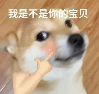 Video sticker ❤️ 众里寻他千百度  @jiu141355