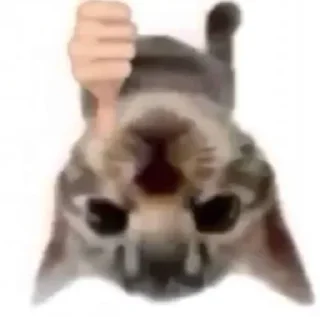 Telegram sticker 👎 котямбусы от @chelovekotenok