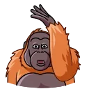 Sticker 😂 Orangoutang
