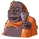 Telegram sticker 🙅‍♂️ Orangoutang