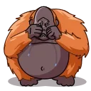 Telegram sticker 😭 Orangoutang