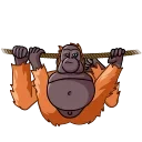 Telegram sticker 👌 Orangoutang