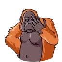 Telegram sticker 🖕 Orangoutang