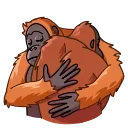 Telegram sticker 🤗 Orangoutang