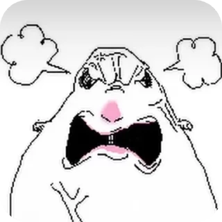 Video sticker 👍 Стикиры