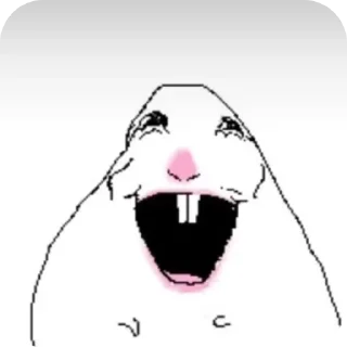 Video sticker 👍 Стикиры