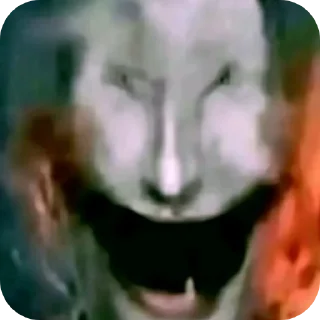Video sticker 👍 Стикиры
