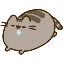 Video sticker 😪 Кот Пушин (@TgSticker)