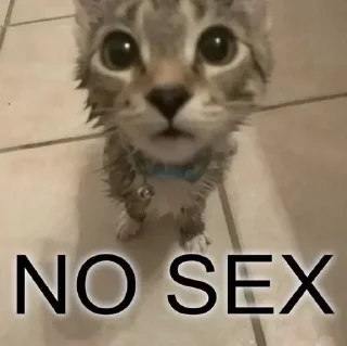 Telegram sticker ✖️ Больше стиков тут: @stikery4