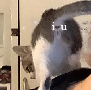 Telegram sticker ❤️ Больше стиков тут: @stikery4