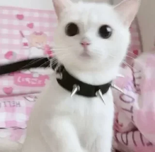 Telegram sticker 🤟 Больше стиков тут: @stikery4